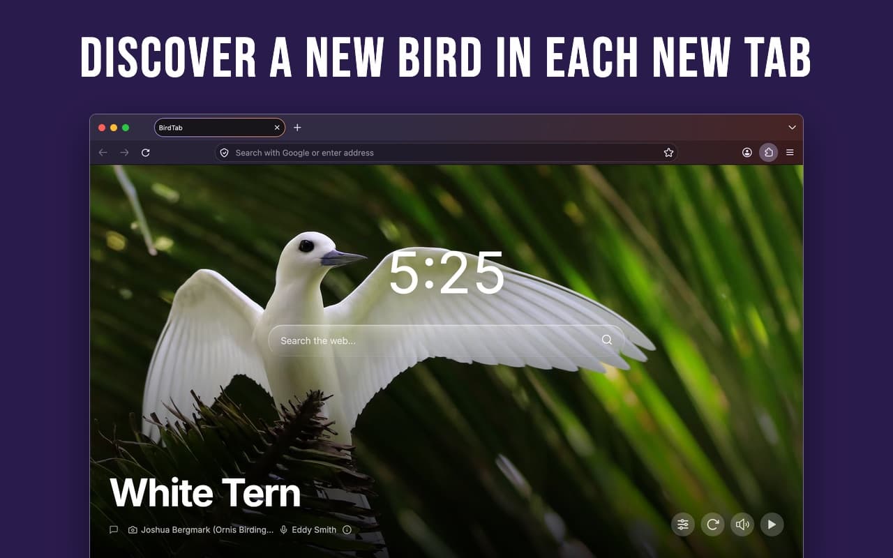 A stunning bird greeting you in every new tab