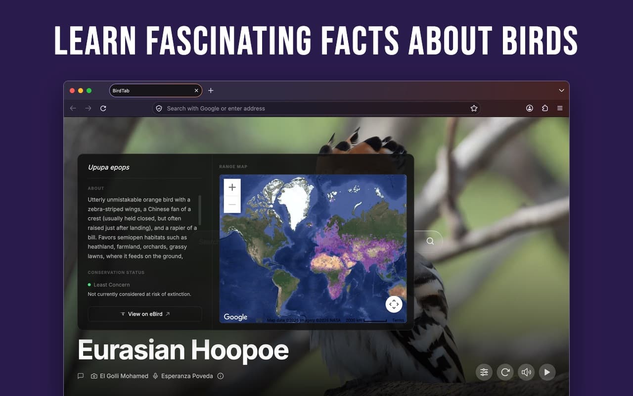 Detailed species information and fascinating facts