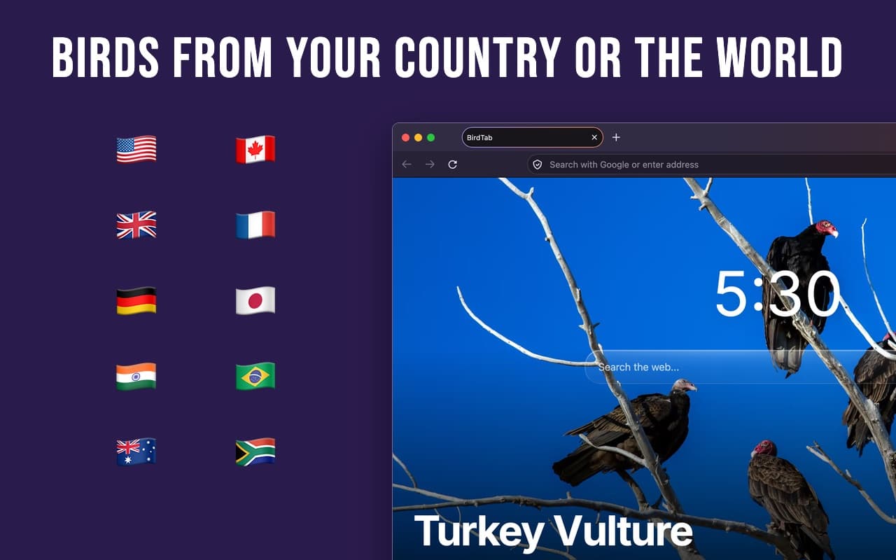 Explore birds from around the world