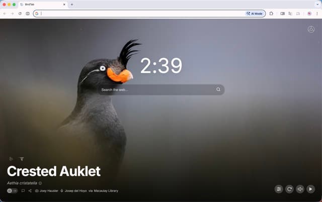 How to use BirdTab video thumbnail
